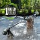 EGO Power+ 16" Cordless String Trimmer with 4.0 Ah Battery and 320W Charger, , large