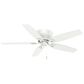 Hunter Durant Low Profile 54" Ceiling Fan in Snow White, , large