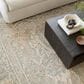 Loloi Emilia 8"6" x 11"6" Sky and Natural Area Rug, , large