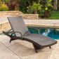 Noble House Salem Patio Chaise Lounge in Multi-Brown (Set of 2), , large