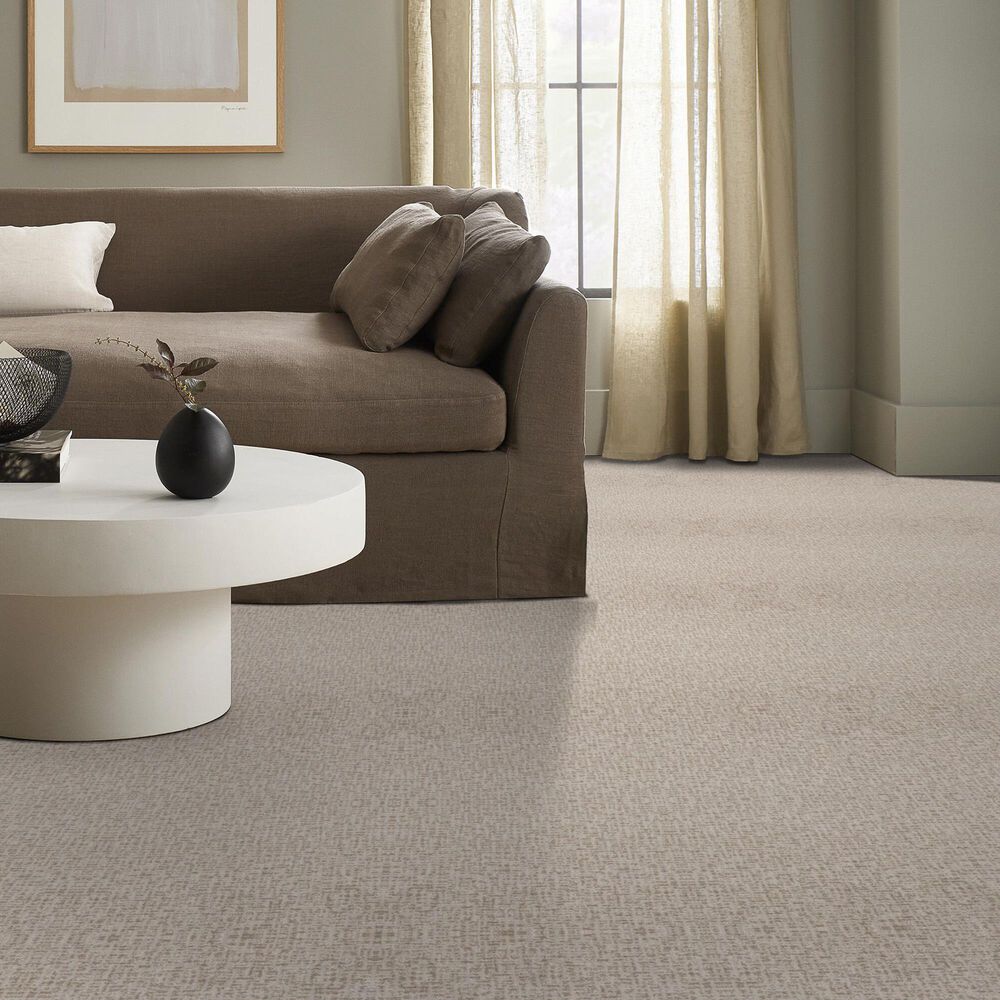 Anderson Tuftex Caboodle Carpet in Balanced, , large
