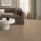 Anderson Tuftex Trace Carpet in Yarrow, , large