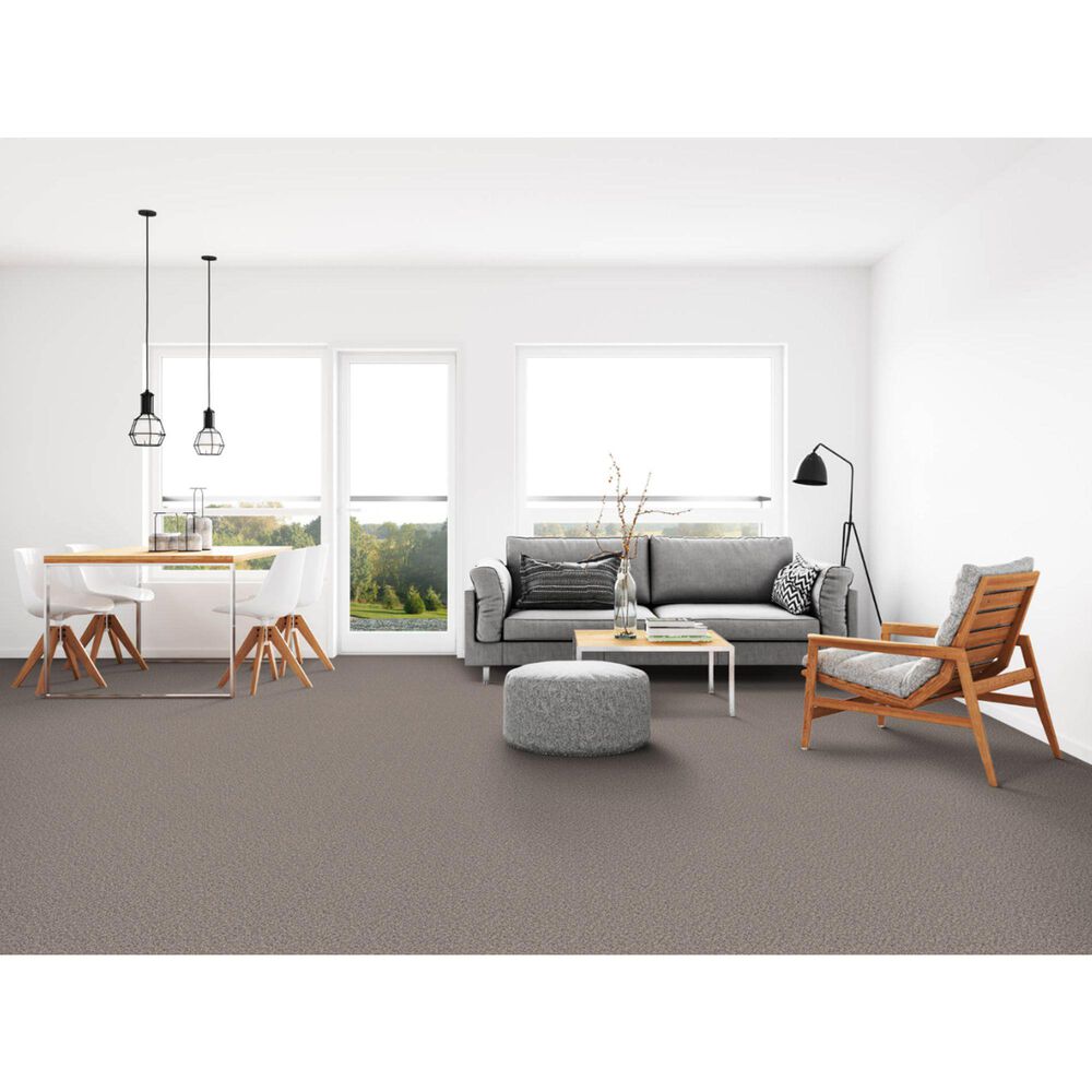 Dixie Home Simplicity Carpet in Salt Pepper, , large