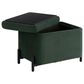 Lifestyle Solutions Kona Small Storage Ottoman in Green, , large