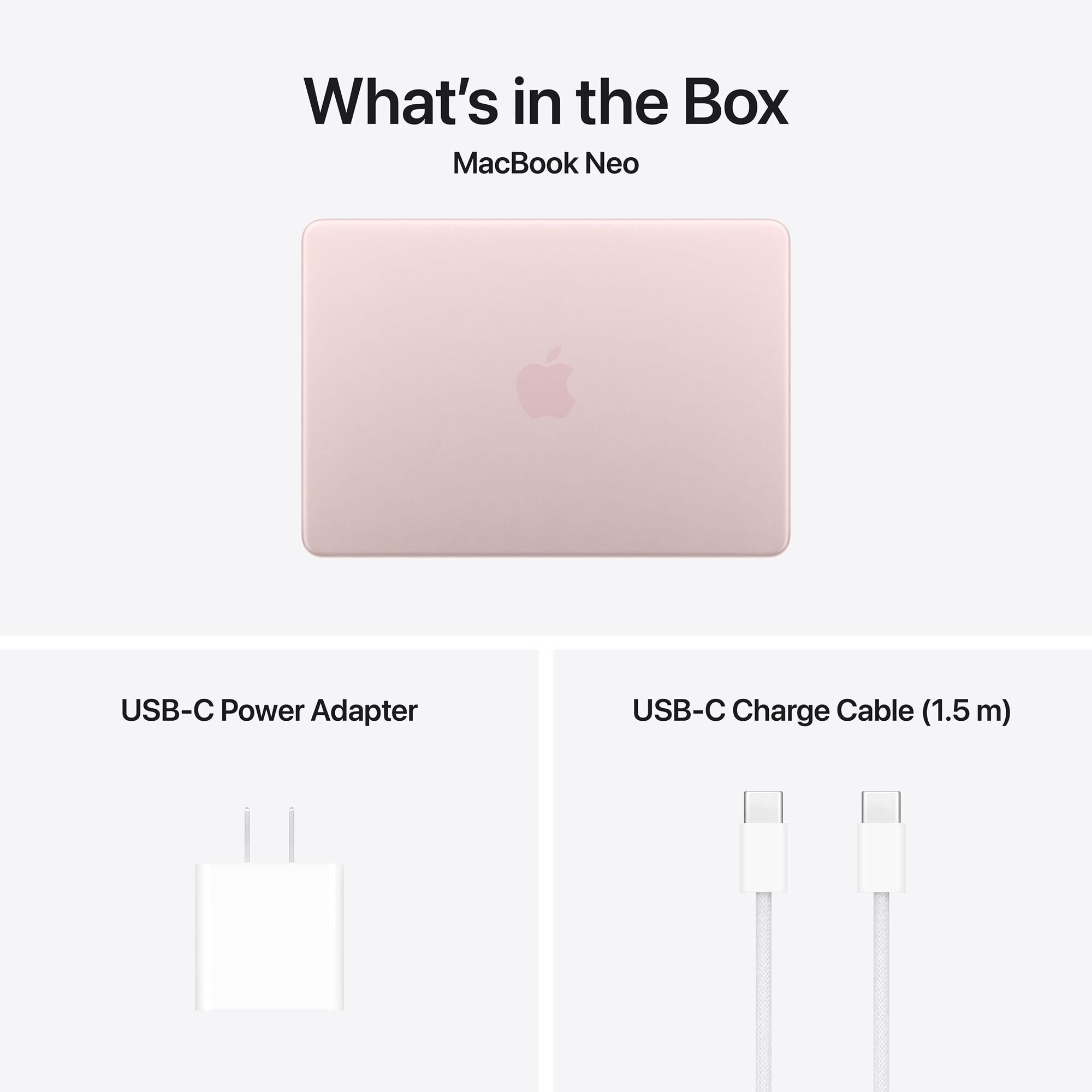 Apple 13