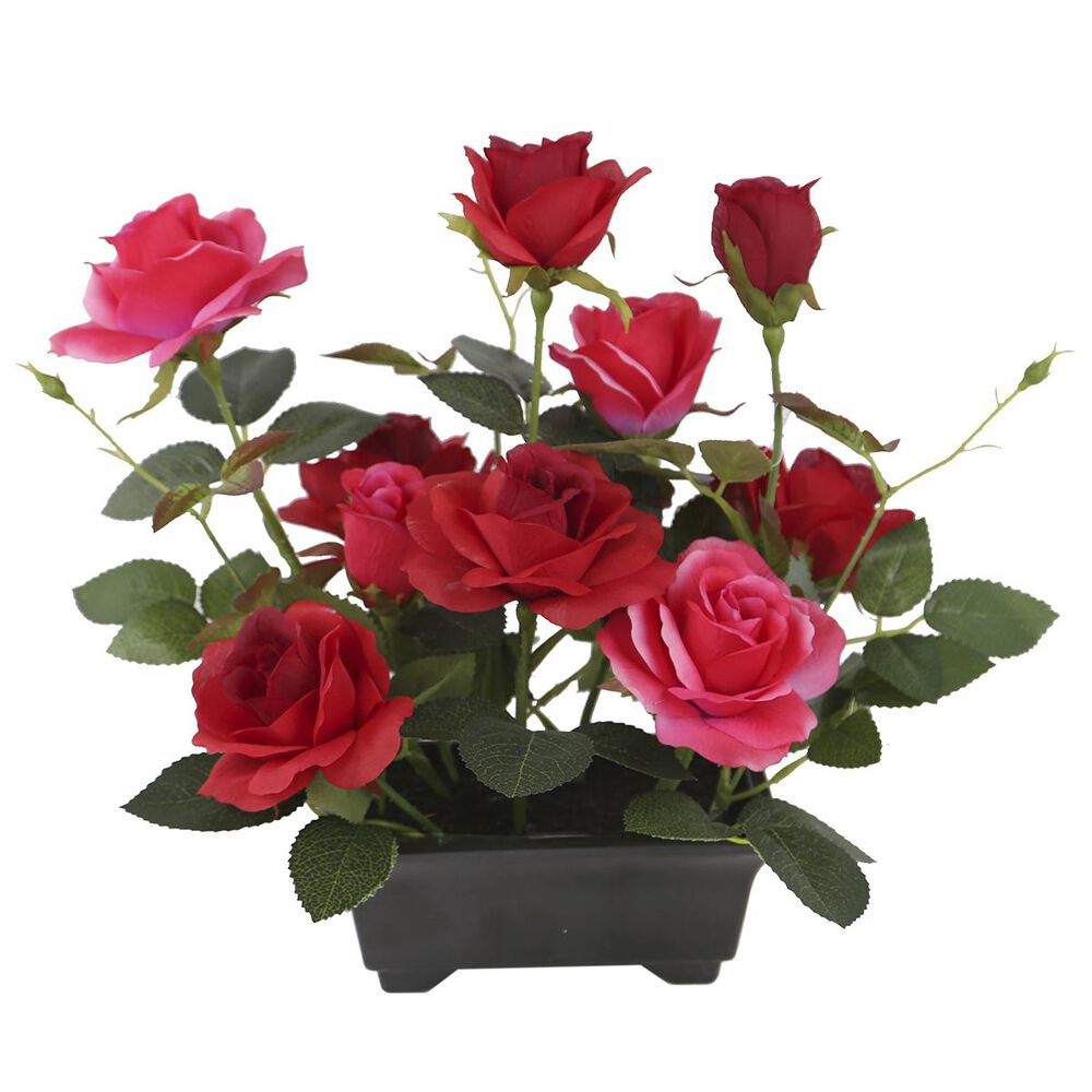 National Tree 10" Assorted Roses in Pot, , large