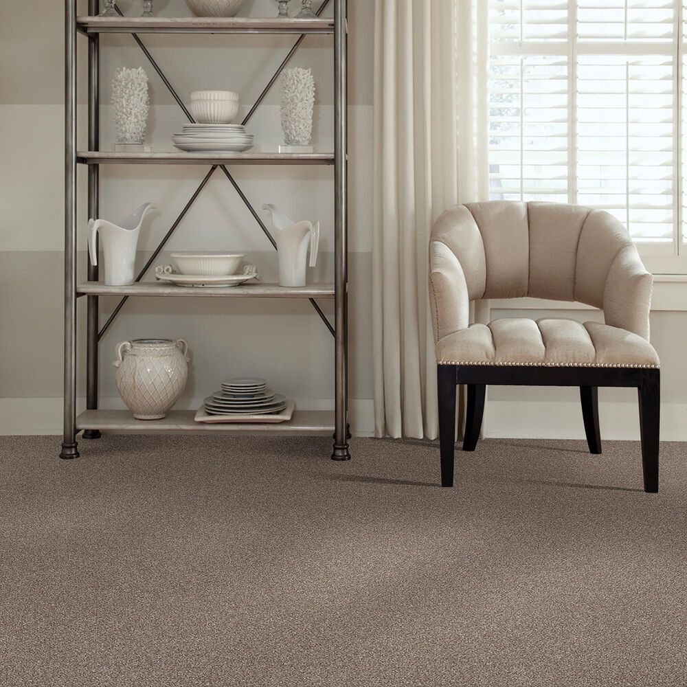 Shaw Just Right II Carpet in Fox Hollow, , large