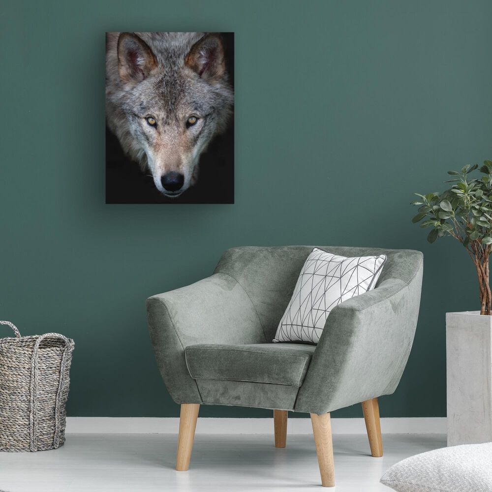 Timberlake Jim Cumming 'All The Better To See You - Timber Wolf' 47" x 35" Canvas Art in Black/Grey/Brown, , large