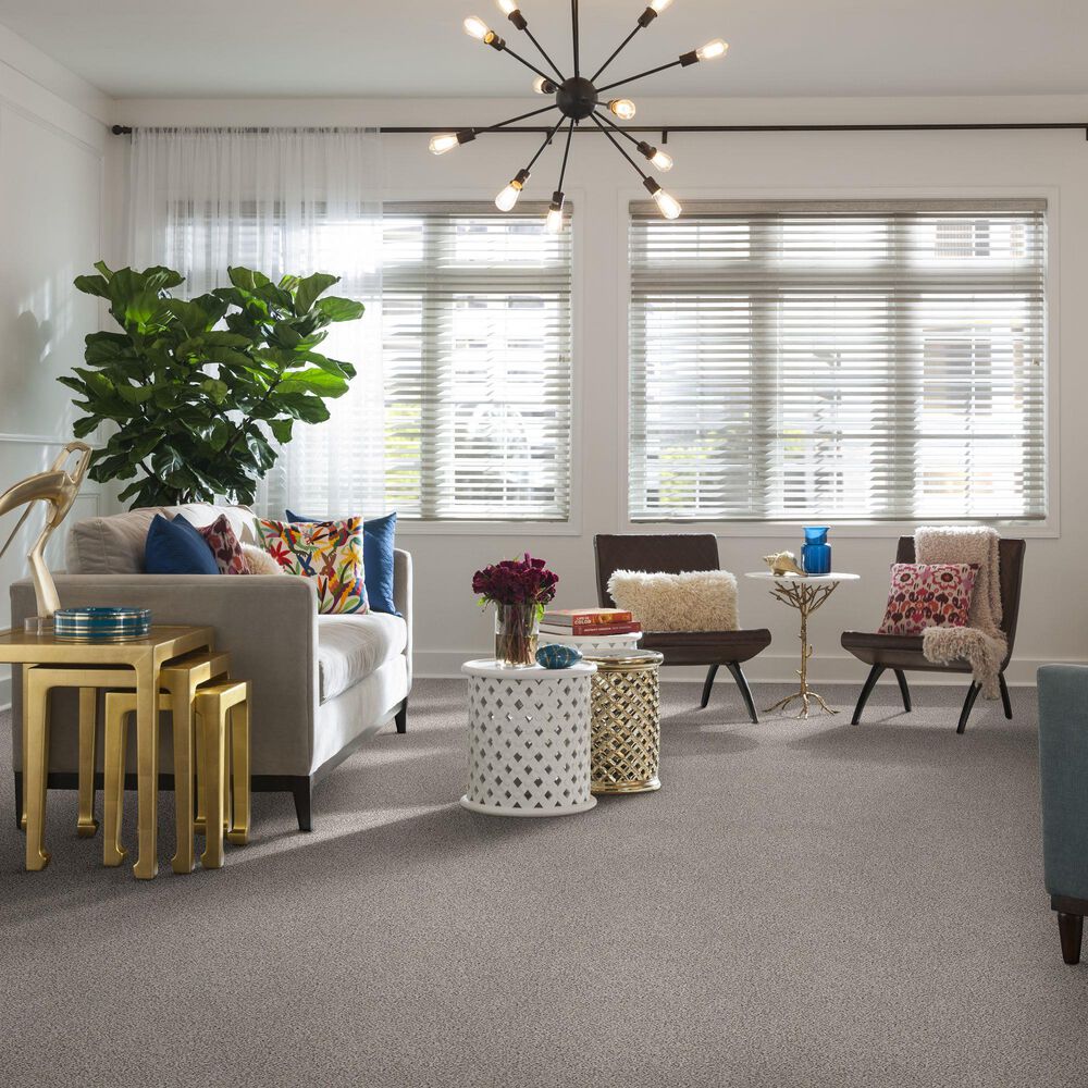 Shaw Find Your Comfort TA I Carpet in Lost Passport, , large