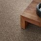 Shaw Cabana Bay (B) Carpet in Mesa, , large