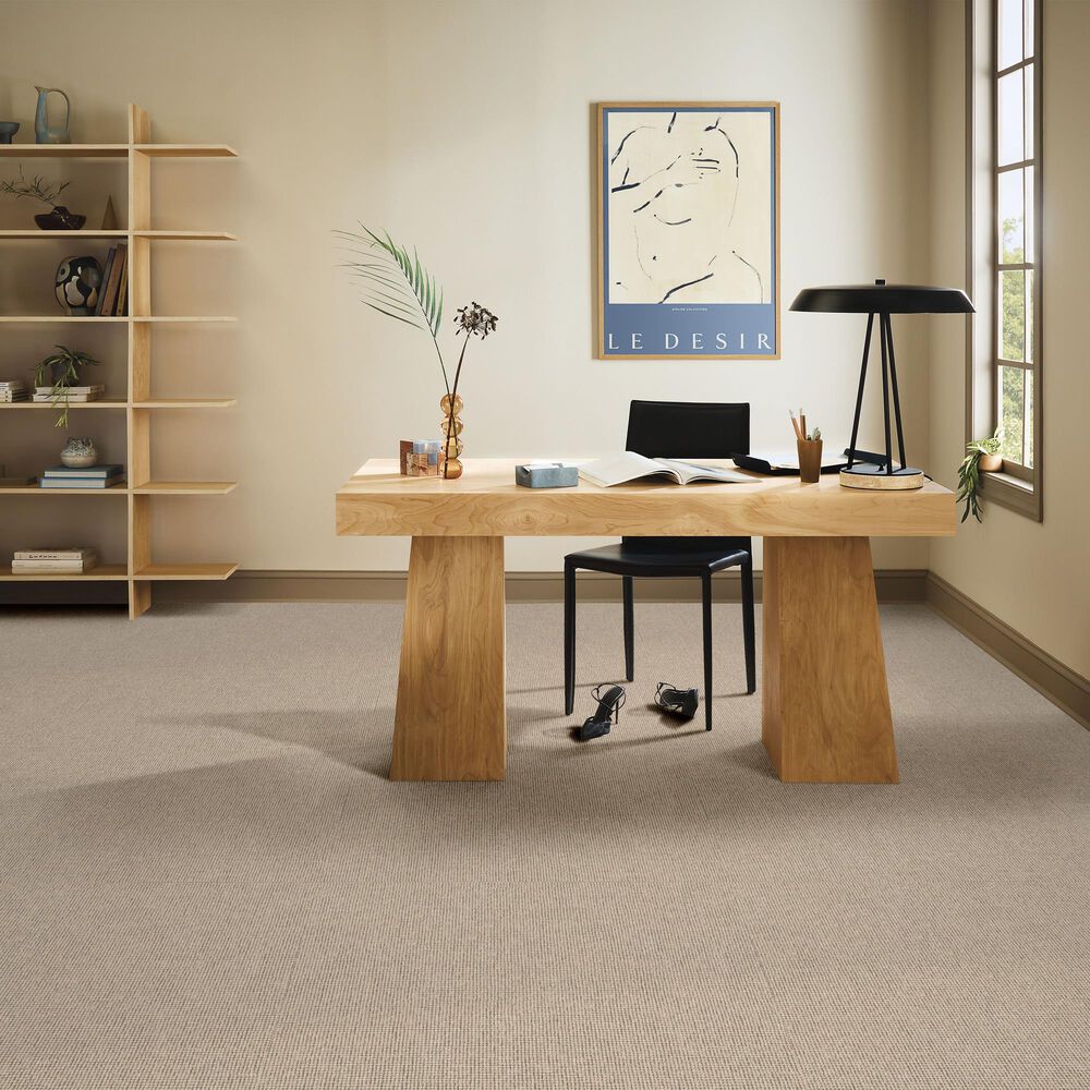 Anderson Tuftex Touchstone Carpet in Starlight, , large
