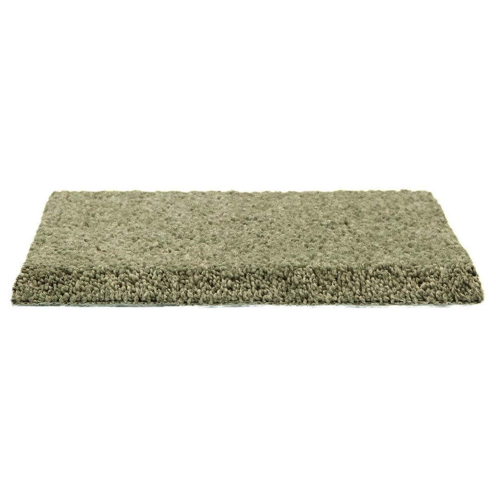 Mohawk Pleasant Touch Carpet in Hunter&#39;s Glen, , large