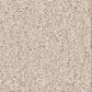 Shaw Las Cruces Carpet in Zurich, , large