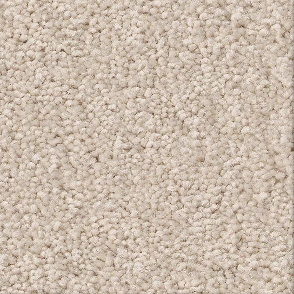 Shaw Las Cruces Carpet in Zurich, , large