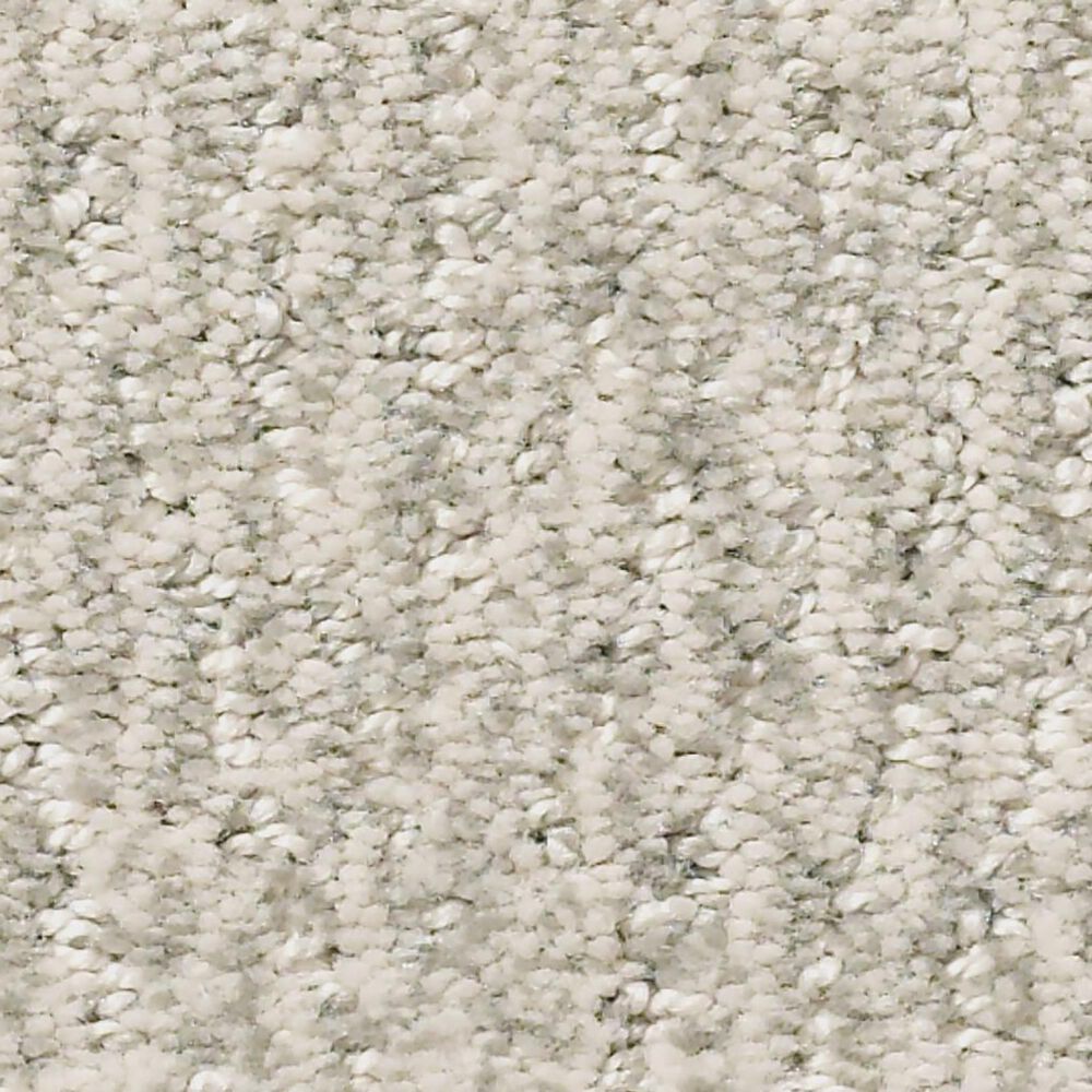 Anderson Tuftex Fur-Ever Carpet in Bennington, , large