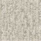 Anderson Tuftex Fur-Ever Carpet in Bennington, , large
