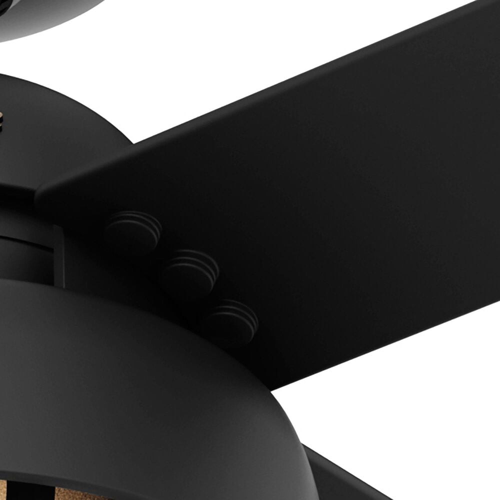 Hunter Spring Mill 52&quot; Outdoor Ceiling Fan with LED Lights in Matte Black, , large