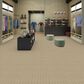 Shaw Be Open Carpet in Purpose, , large