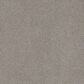 Dream Weaver Beach Club III Carpet in Garden Hedge, , large