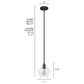 Hunter Dunshire 6.75" 1-Light Mini Pendant with Clear Shade in Noble Bronze, , large