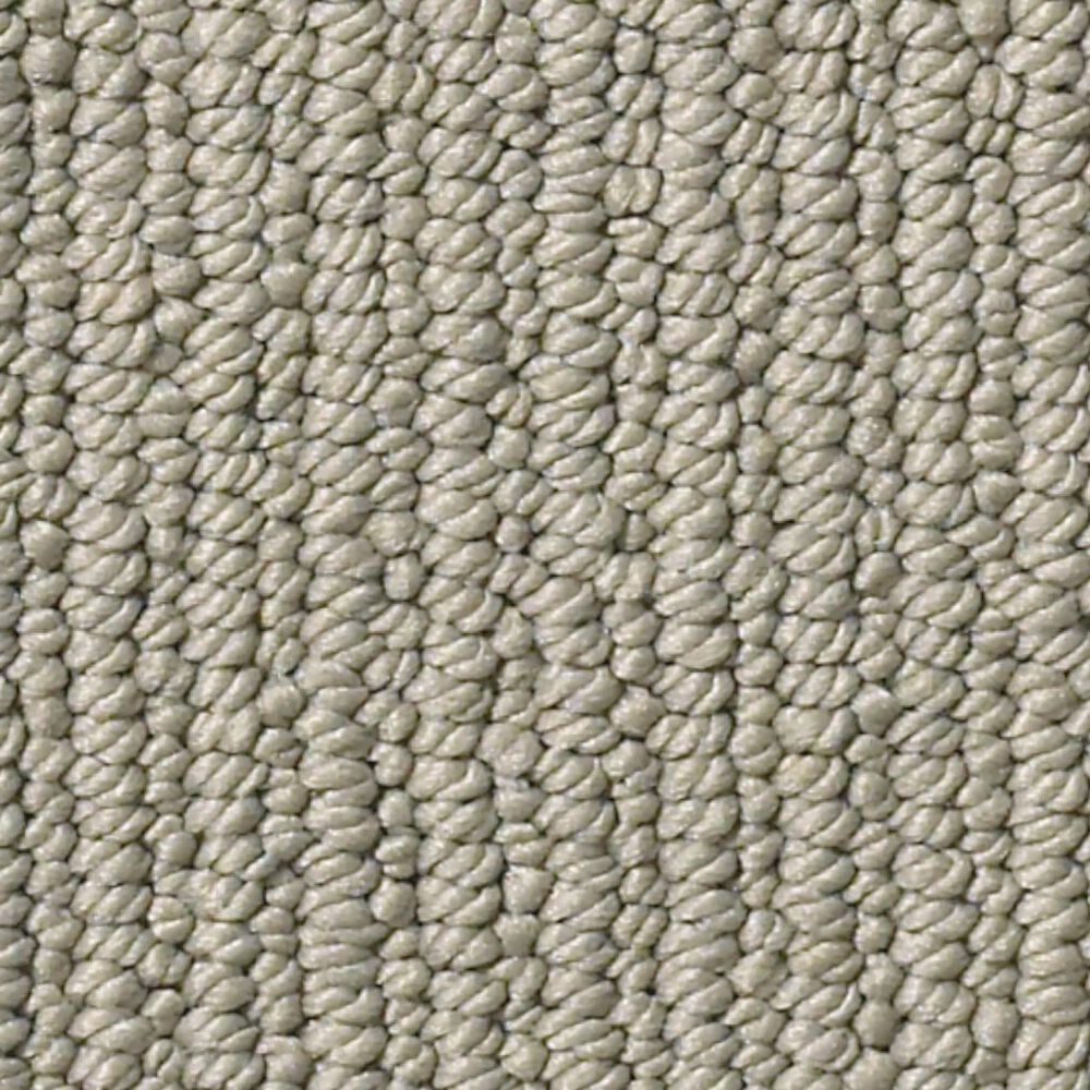 Anderson Tuftex Dynasty Carpet in Charleston, , large