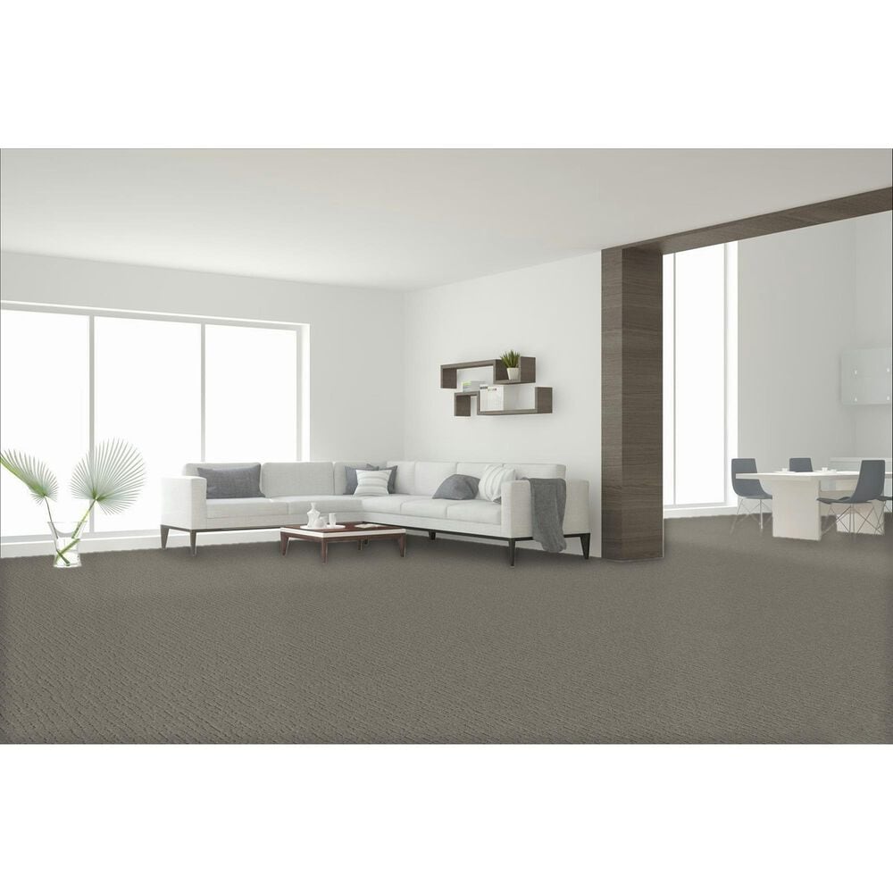 Dream Weaver Natural Attraction Carpet in Del Mar, , large