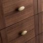 James Martin Vanities Amberly 48" Single Bathroom Vanity in Walnut with 3 cm Arctic Fall Solid Surface Top and Rectangular Sink, , large