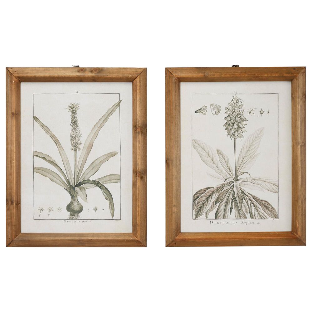 Maple and Jade 22&quot; x 17&quot; Leaves Framed Wall Art in Distressed Brown &#40;Set of 2&#41;, , large