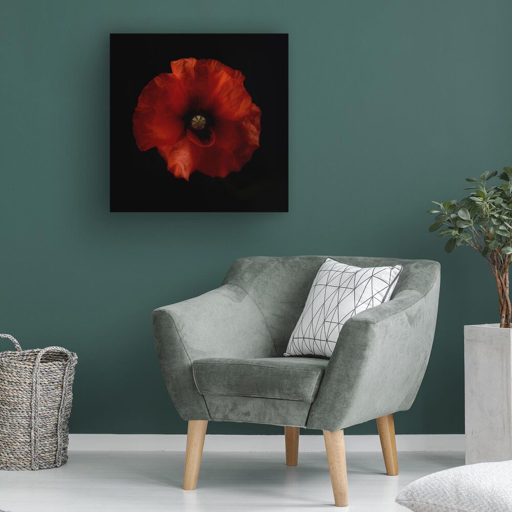 Timberlake Lotte Gronkjar 'One Fresh Poppy' 35" x 35" Canvas Art, , large
