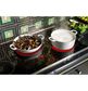 Cafe Electric Cooktop 36", , large