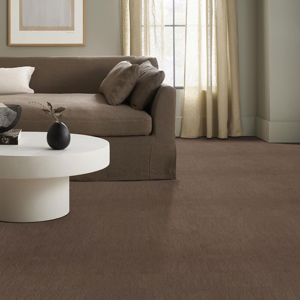 Anderson Tuftex Luxe Feel II Carpet in Pebble Path, , large