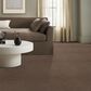 Anderson Tuftex Luxe Feel II Carpet in Pebble Path, , large