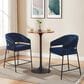 Linon Home Decor Prestwick Counter Stool with Navy Cushion in Black (Set of 2), , large