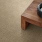 Anderson Tuftex Diego Carpet in Antique, , large