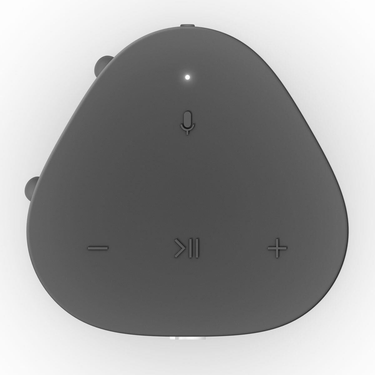 SONOS Roam Smart Speaker in Shadow Black | NFM