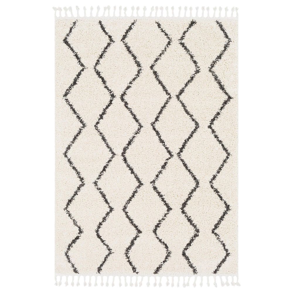Surya Berber Shag BBE2303 6"7" x 9" Charcoal and Beige Area Rug, , large