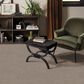 Philadelphia Delicate Feel II Carpet in Mocha, , large