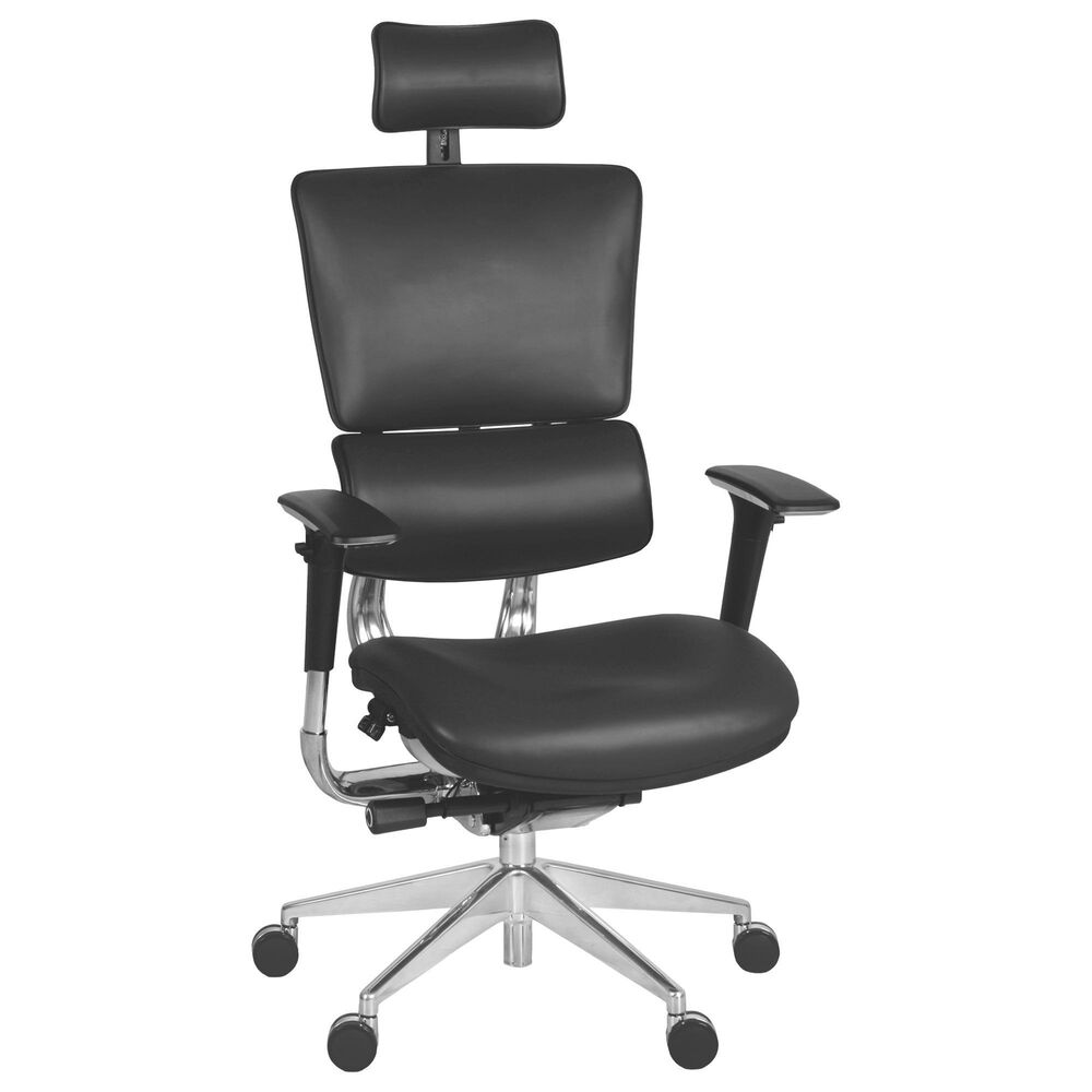 Regency Global Sourcing Omega Ergonomic Executive Office Chair in Black, , large