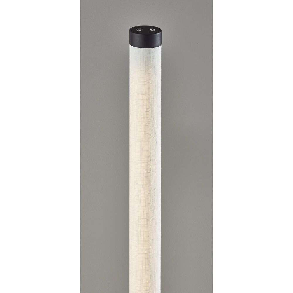 Adesso Dorsey LED Floor Lamp in Black, , large