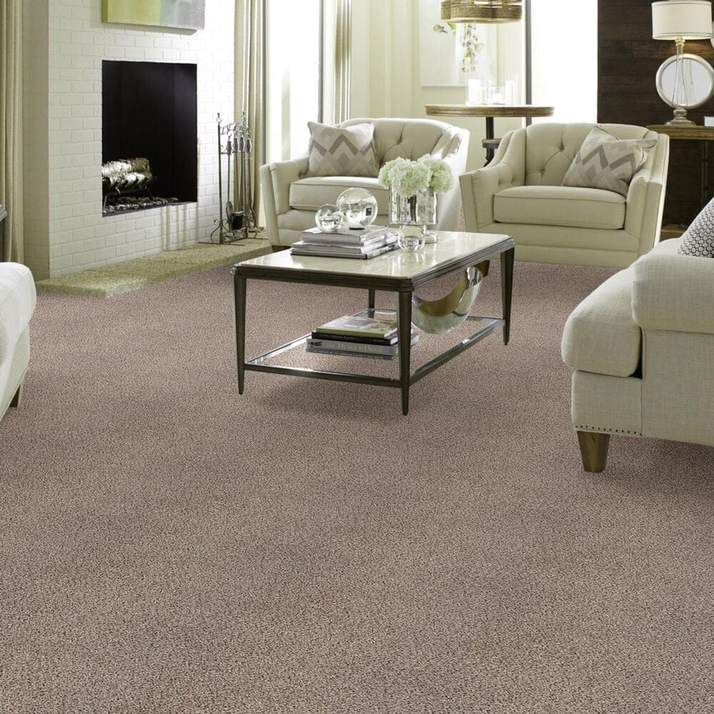 Shaw Foundations Take The Floor Accent II Carpet in Everest, , large