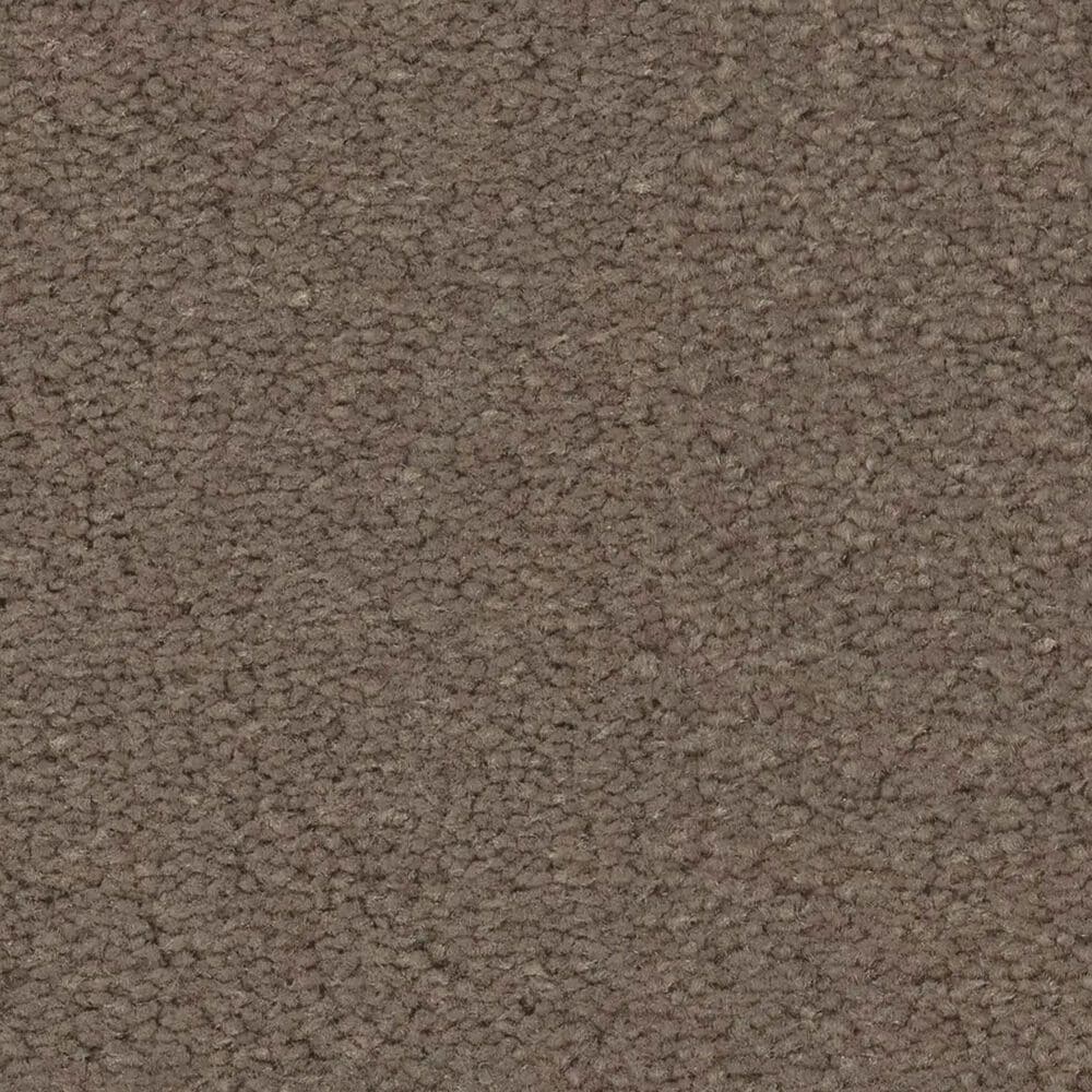Anderson Tuftex Finery Carpet in Riverbank, , large