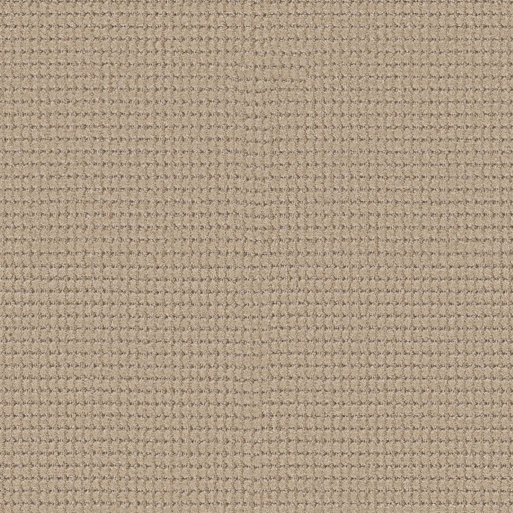 Anderson Tuftex Rhode Carpet in Cork, , large