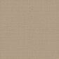 Anderson Tuftex Rhode Carpet in Cork, , large