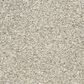 Dixie Home Natural Beauty Carpet in Titanium, , large