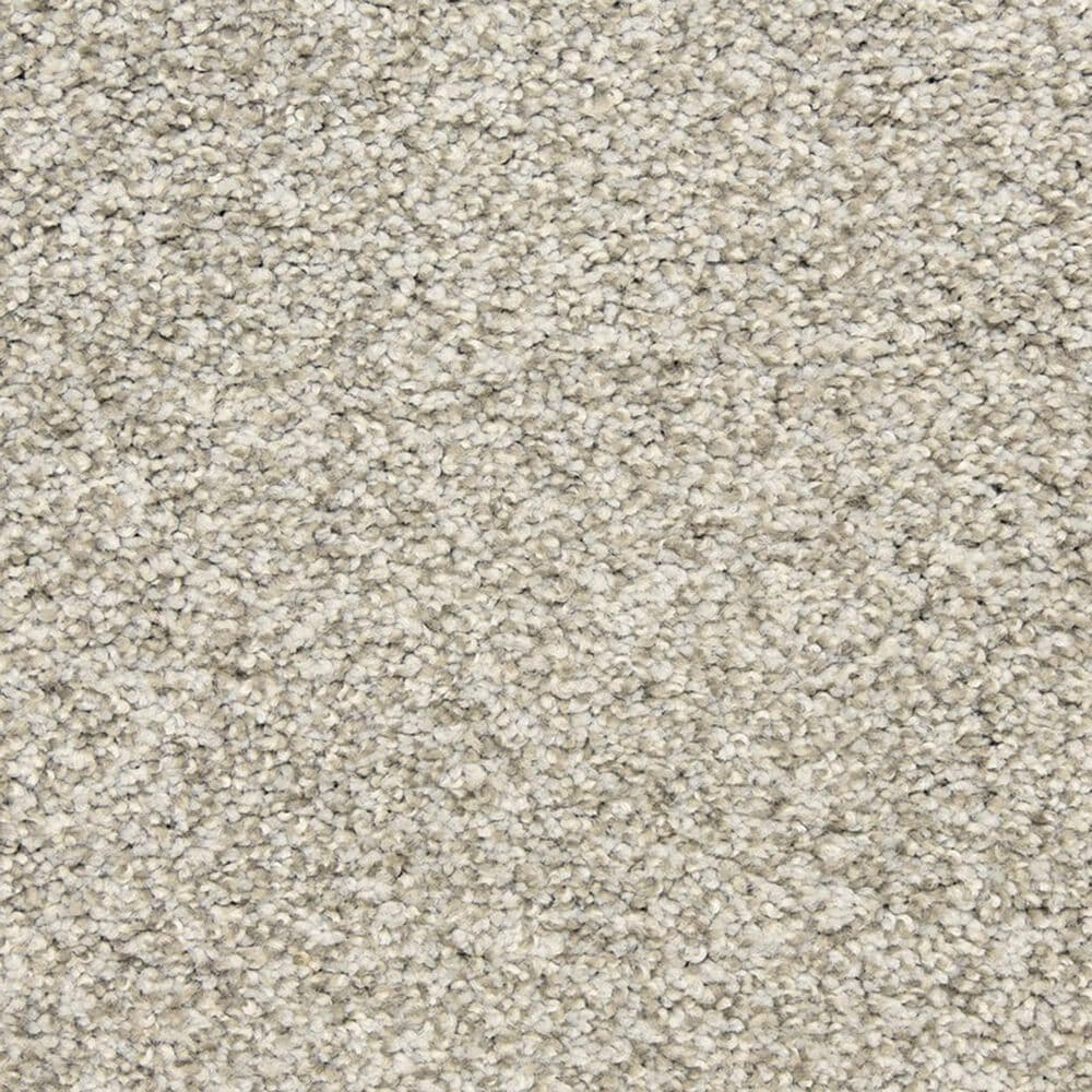 Dixie Home Natural Beauty Carpet in Titanium, , large