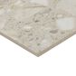 Dal-Tile Outlander Echo 12" x 24" Grande Porcelain Tile, , large