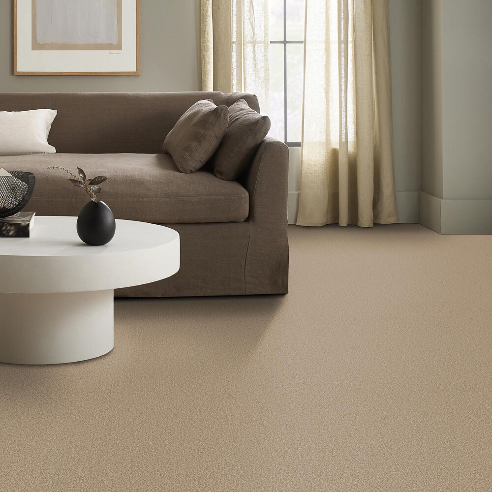 Anderson Tuftex Wyndham Estate Carpet in Filtered Moon, , large