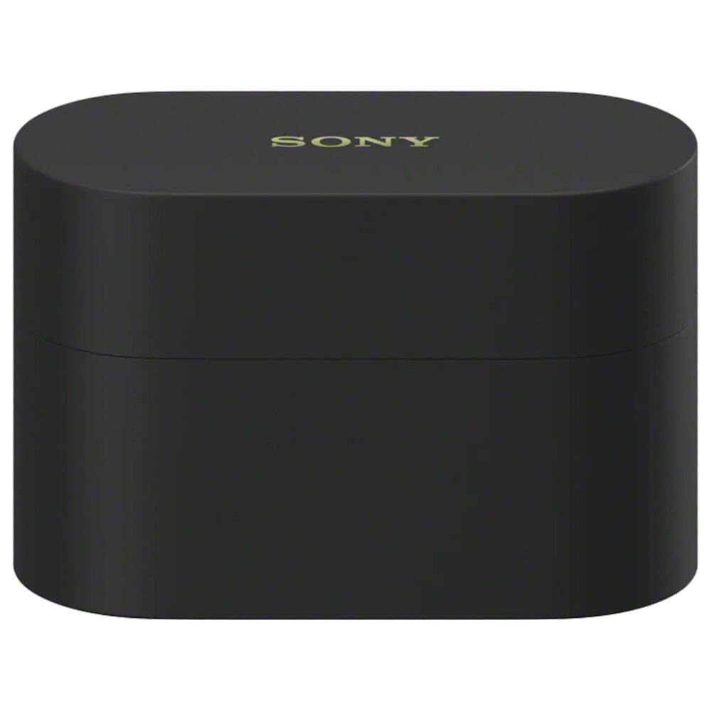 Sony True Wireless Noise Canceling Earbuds in Black, , large
