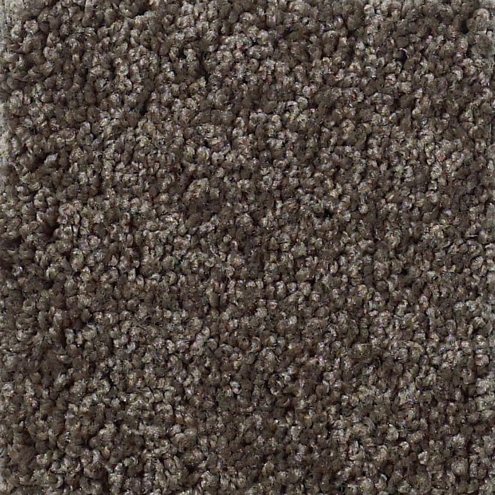 Shaw Detailed Elegance III Carpet in Chocolate, , large