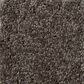 Shaw Detailed Elegance III Carpet in Chocolate, , large